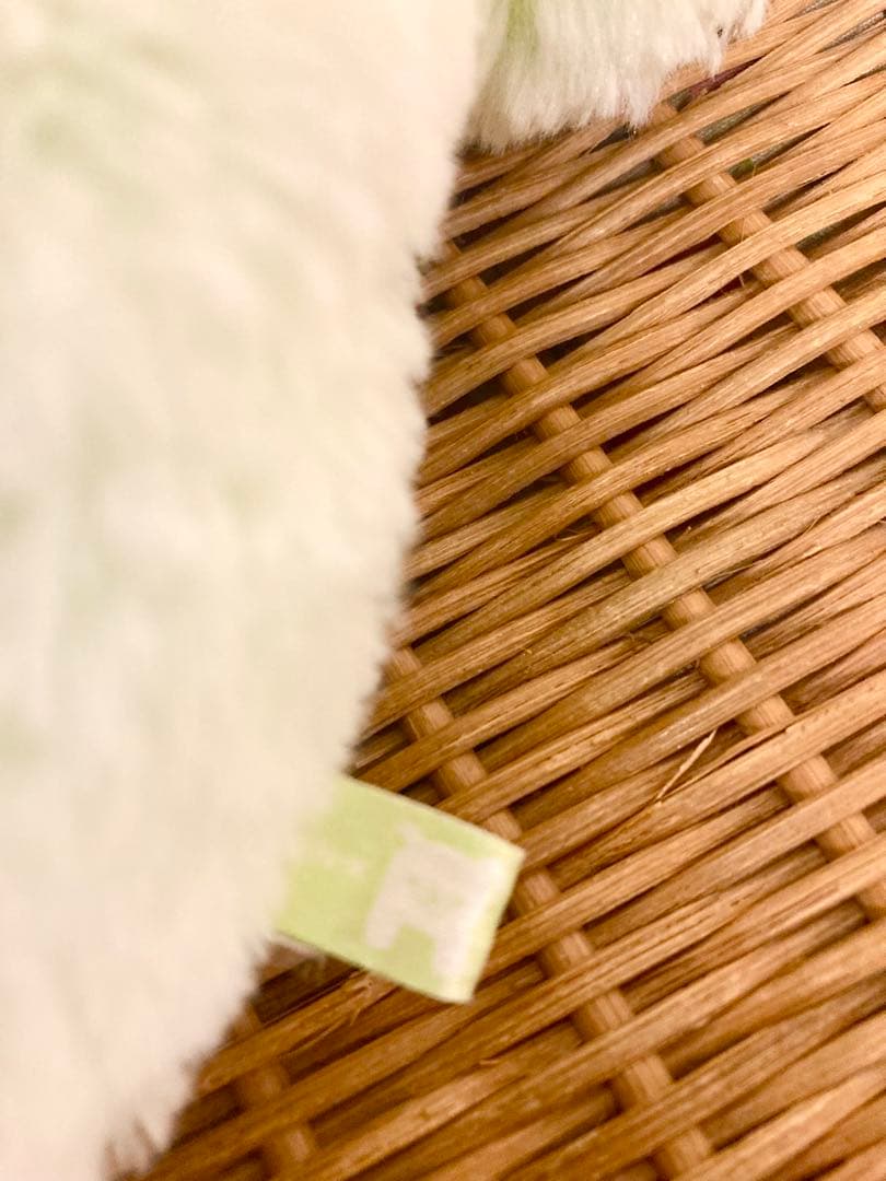 レア　数量限定品　リラックマ シャーベットぬいぐるみ グリーン　M