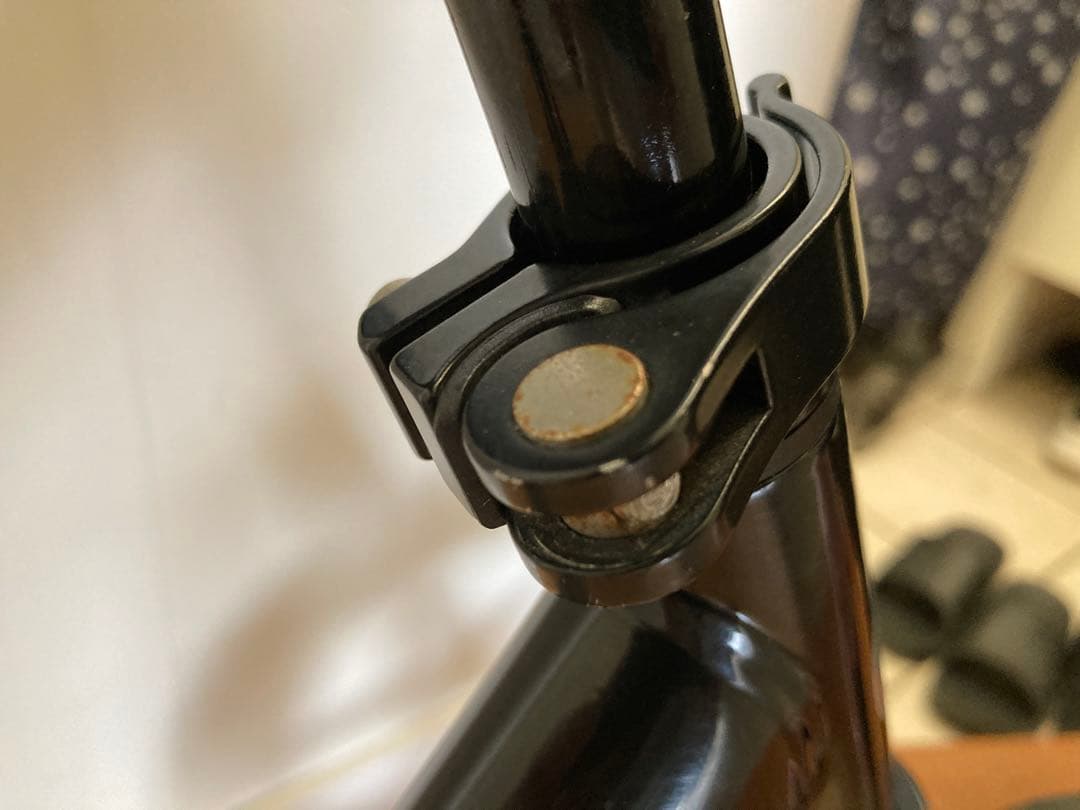 STRIDER 12インチ日本正規品　ブラック　プロテクター付き