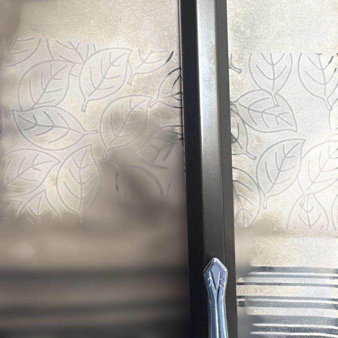 カヴェコスペシャル　オリーブブラウン　伊東屋コラボ