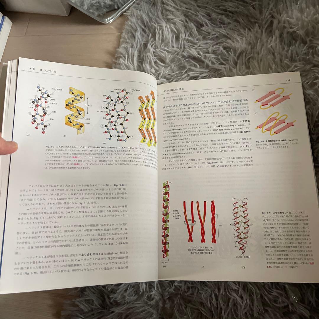 とても難しい本