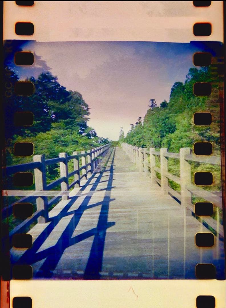 ブラックバードフライ　blackbird fly ディケイドピンク