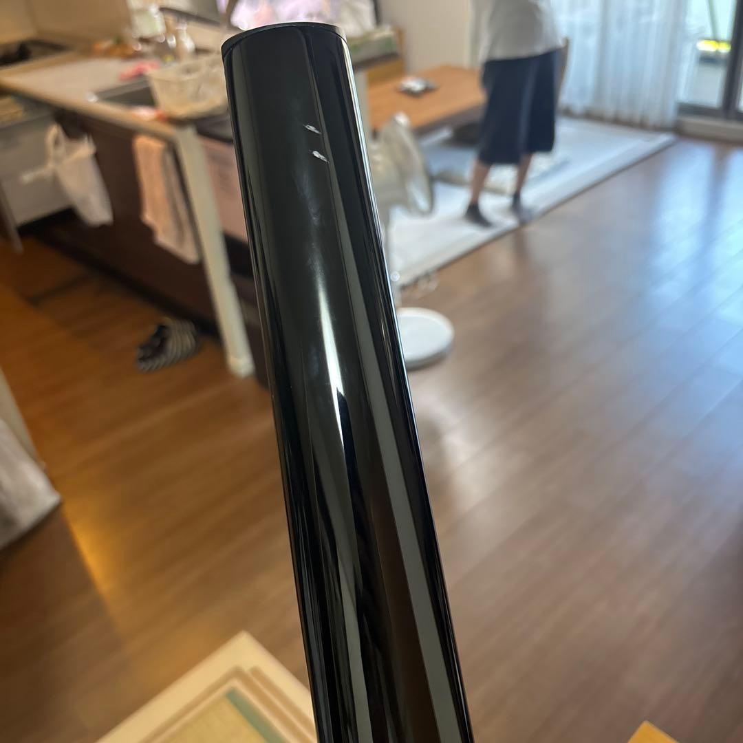 【夏休み値引】 Spirit by Steinberger エレキギター