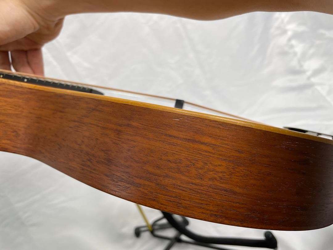 タコマ/Tacoma フラットマンドリン m-1