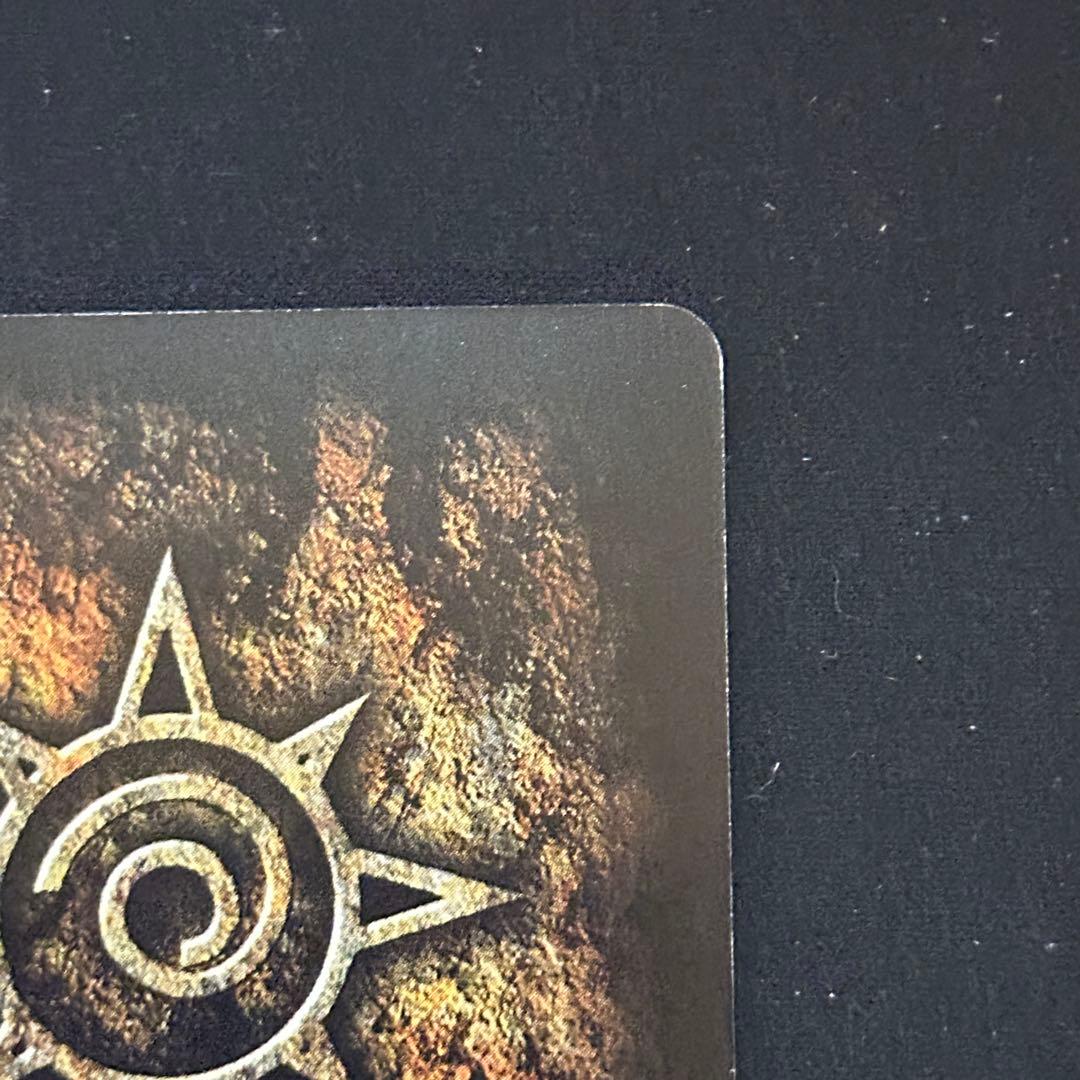 バリー 大きな背中 M-454