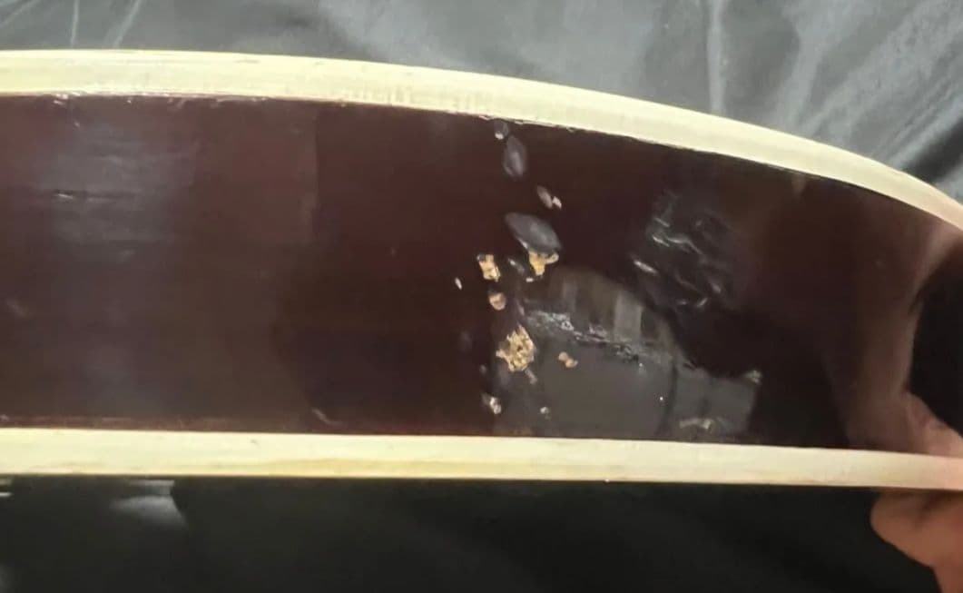 【希少物・入手困難】Frister Les Paul Model