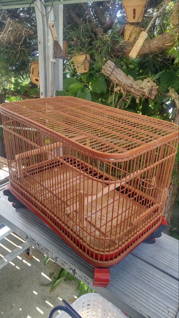 メジロ、ウグイス籠1点物屋根平丸籠