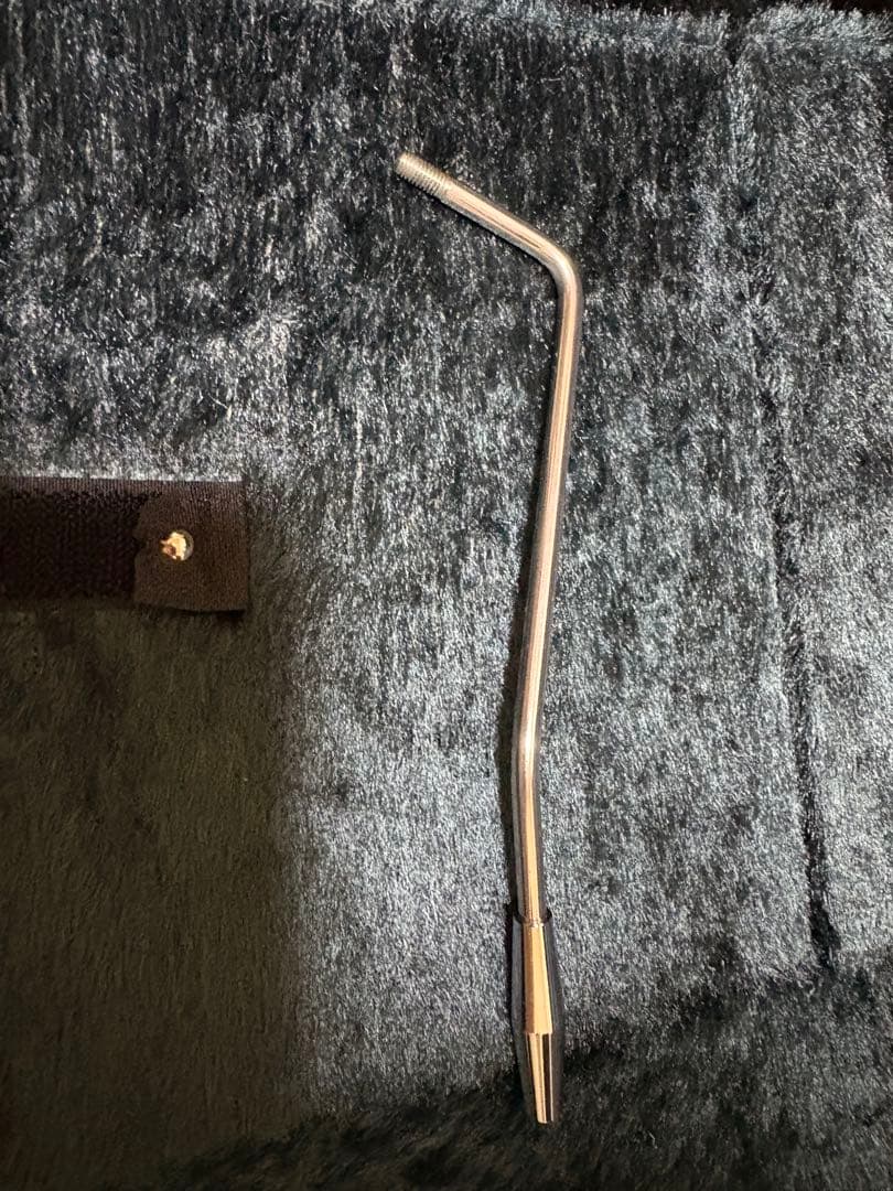 ギター ESP SNAPPER Tae BanG Dream!