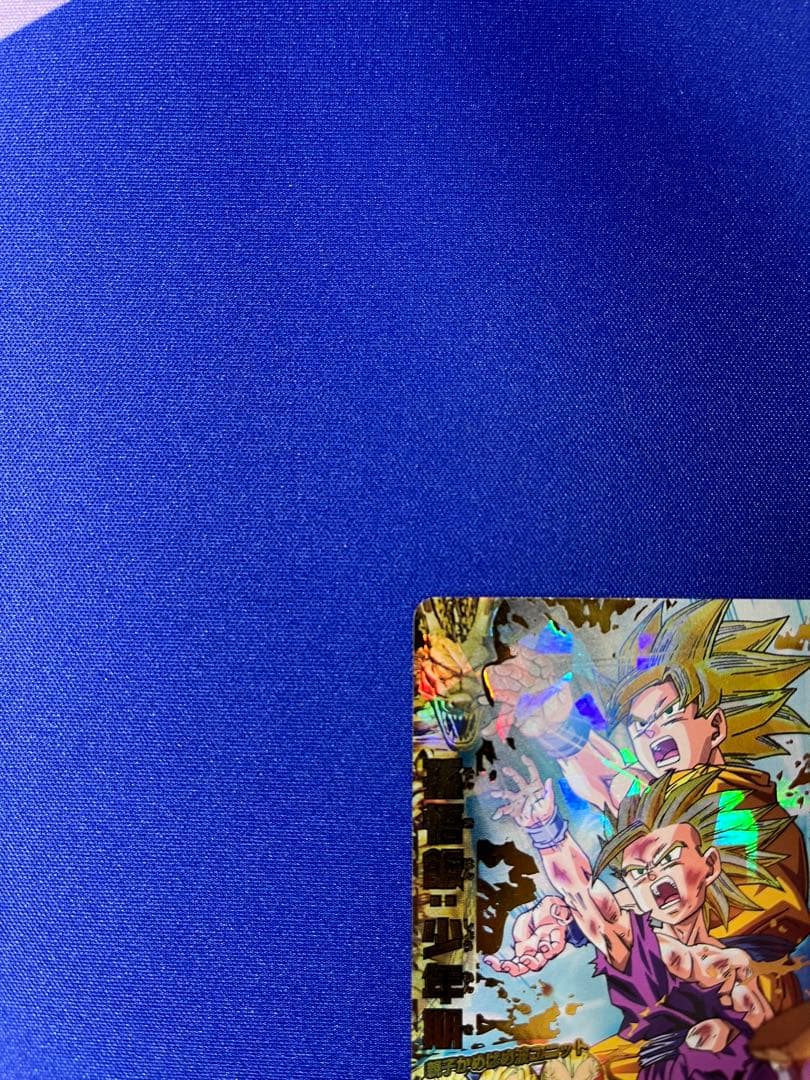 H2-16 孫悟飯:少年期 本家