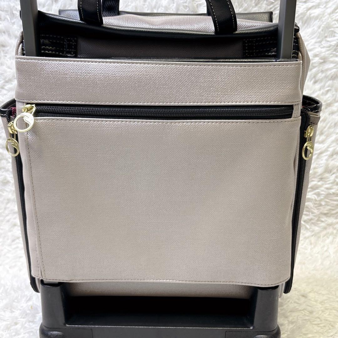 ソエルテ キャリーバッグ ソフト カランド 12L S 55794 ベージュ