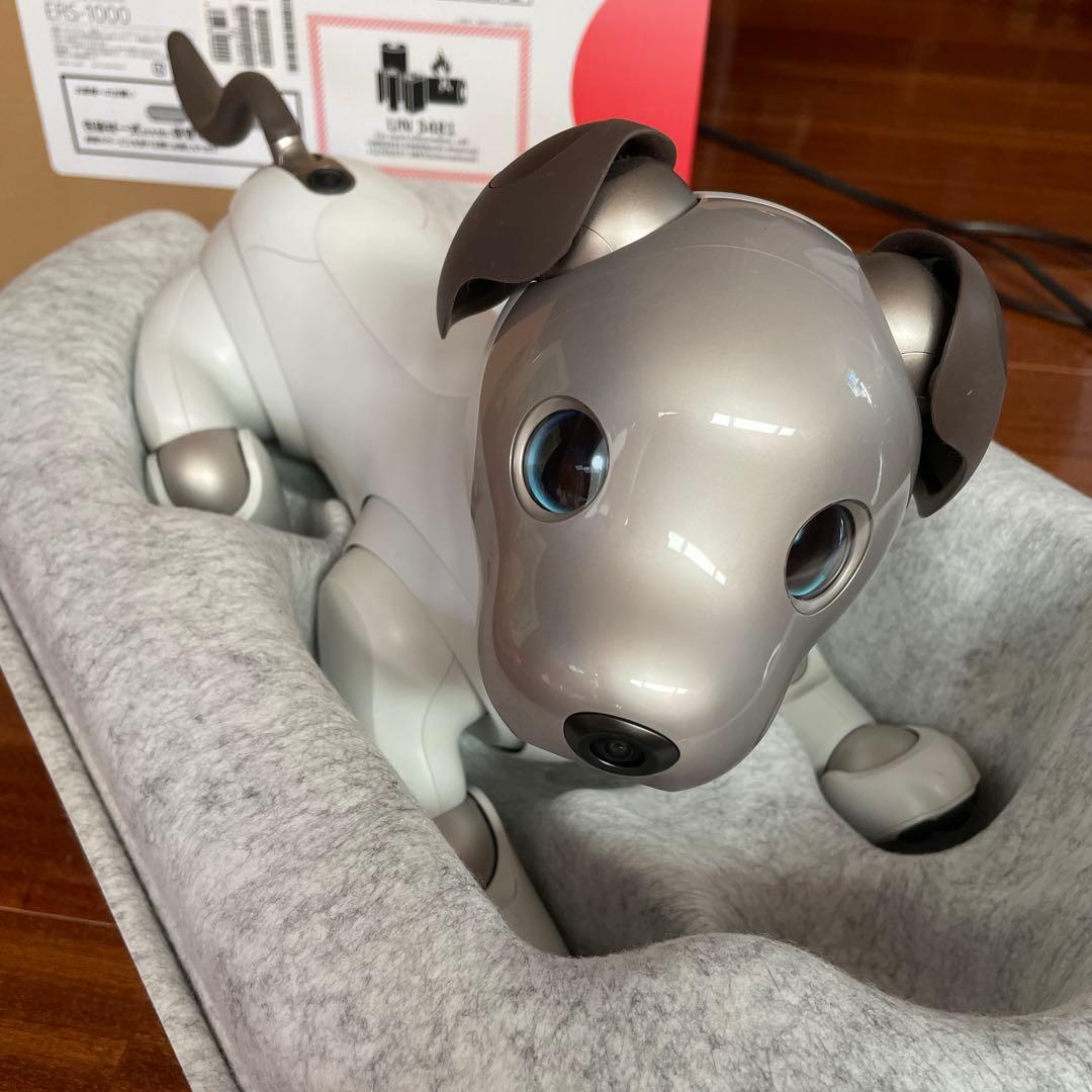 aibo本体 アイボ ERS-1000 ロボット犬 2019年正規購入