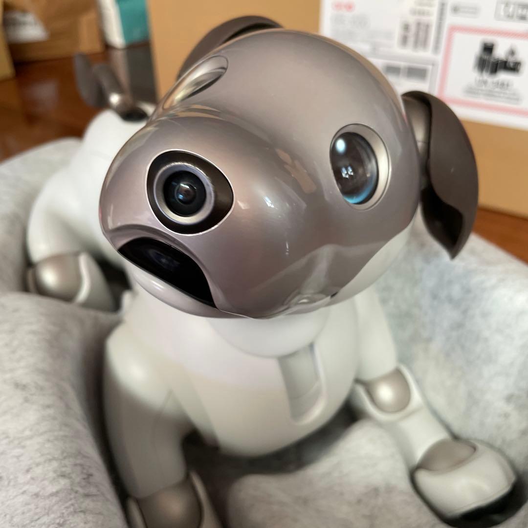 aibo本体 アイボ ERS-1000 ロボット犬 2019年正規購入