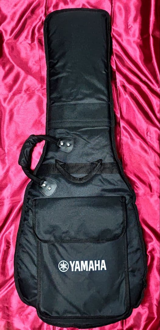 パシフィカ　611VFM　ぼっちちゃん仕様