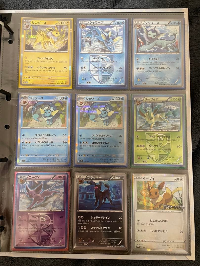 ポケモンカード　引退品　ブイズのみ　ファイル付き