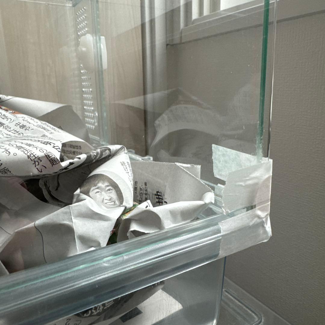 ハムスター２匹すぐ迎えられるセット