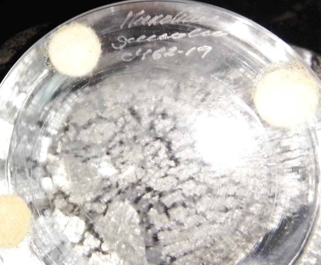 Marcolin Art Crystal ゴルフ 銀 C462 未使用