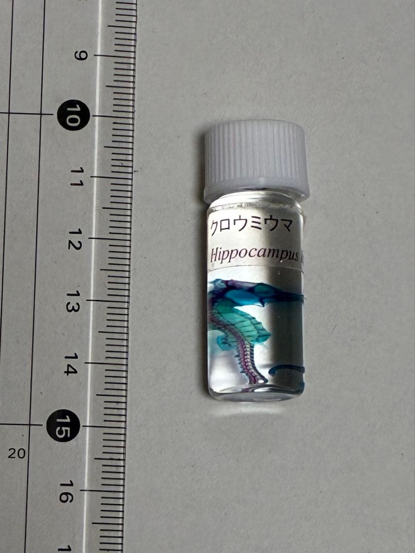 透明標本ボトル4種類 & キーホルダー