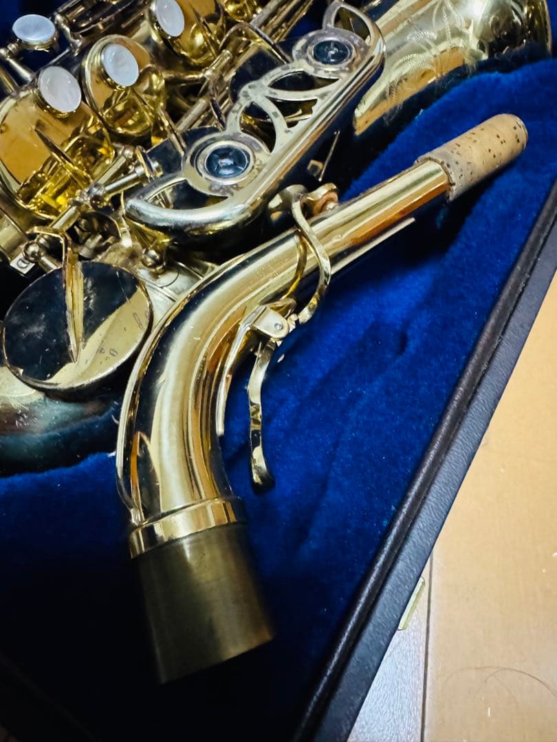 yanagisawa ELIMONA【アルトサックス】