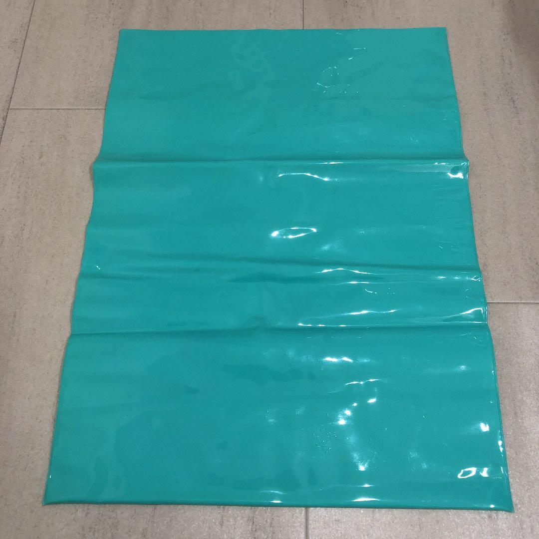 ★超レア★松田聖子サイン入りビニール袋