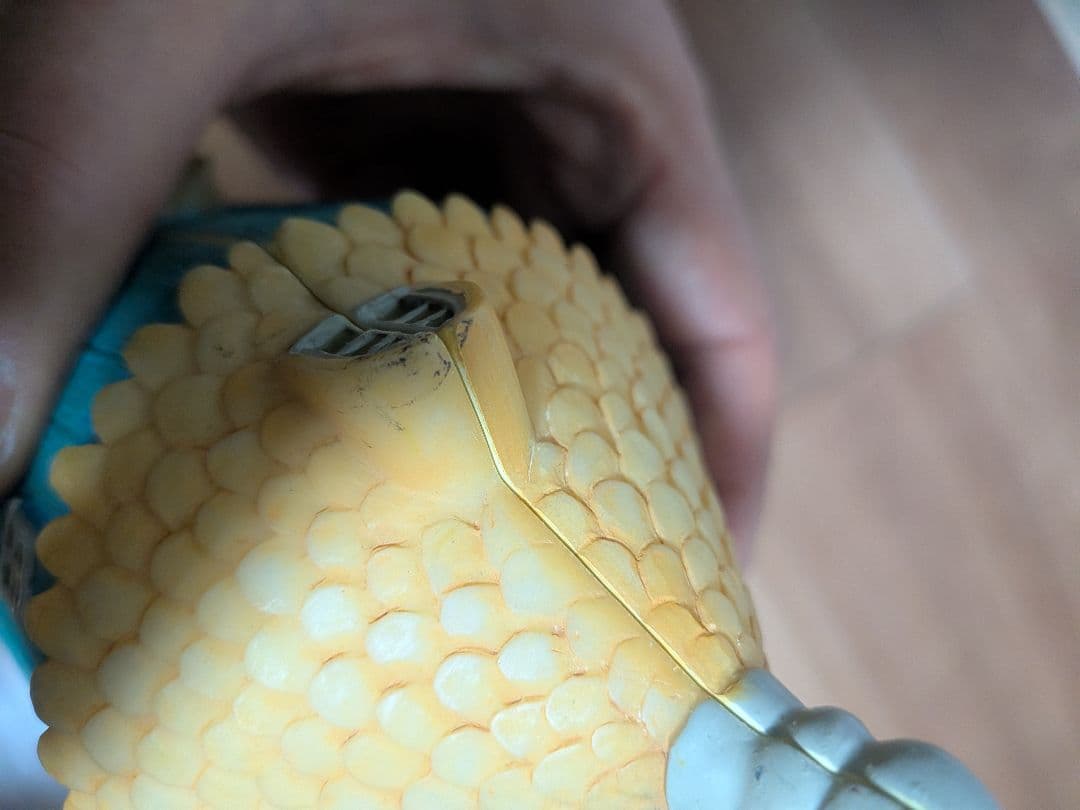 【nick_nack】ムーミン　ミニチュアオープンハウス　森の香り懸賞