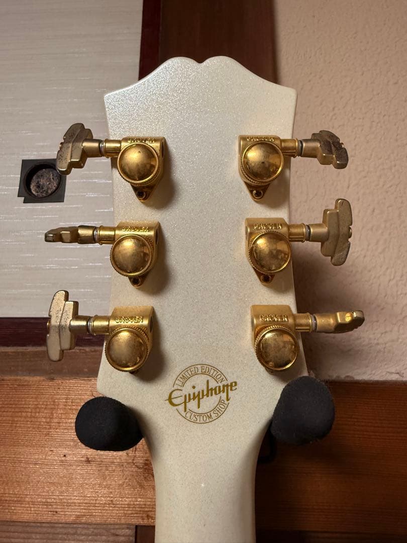 Epiphone Wildkat トンデモ改造品　ビザールギター