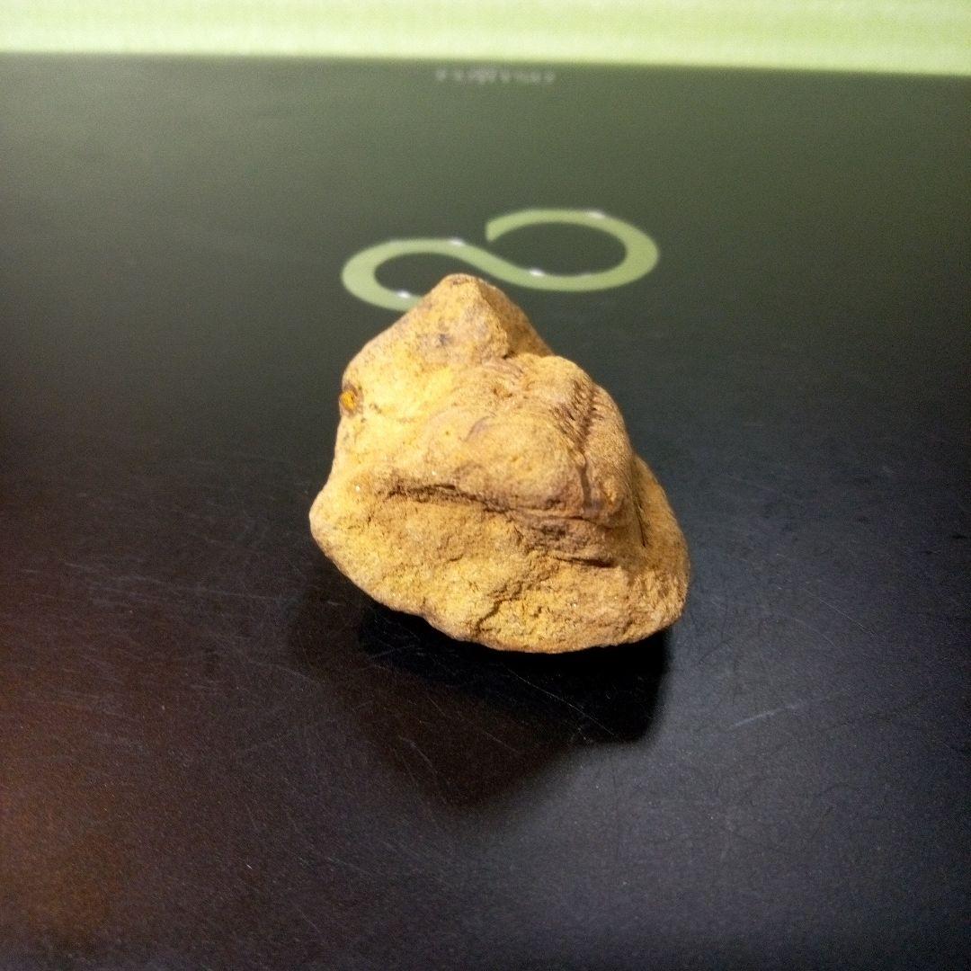 三葉虫　化石　fossil　ボリビア産　レア　Fossil管理⑧