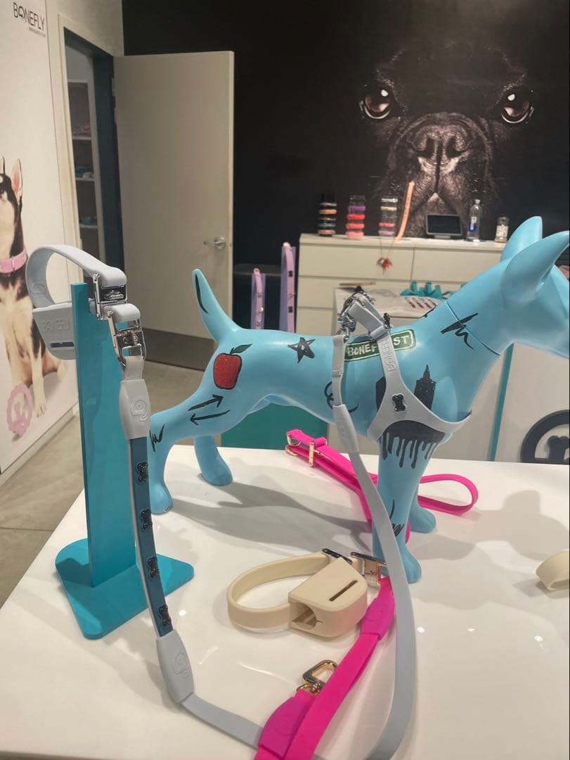 NY店舗購入　BONEFLY ドックハーネス　Mサイズ　入手困難