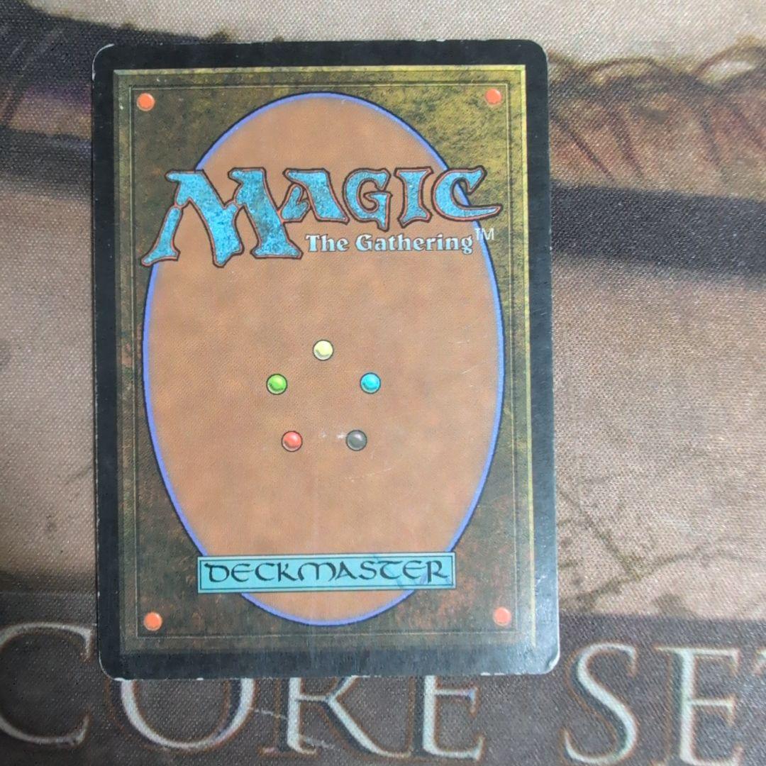 MTG 溢れかえる岸辺/Flooded Strand ドイツ語