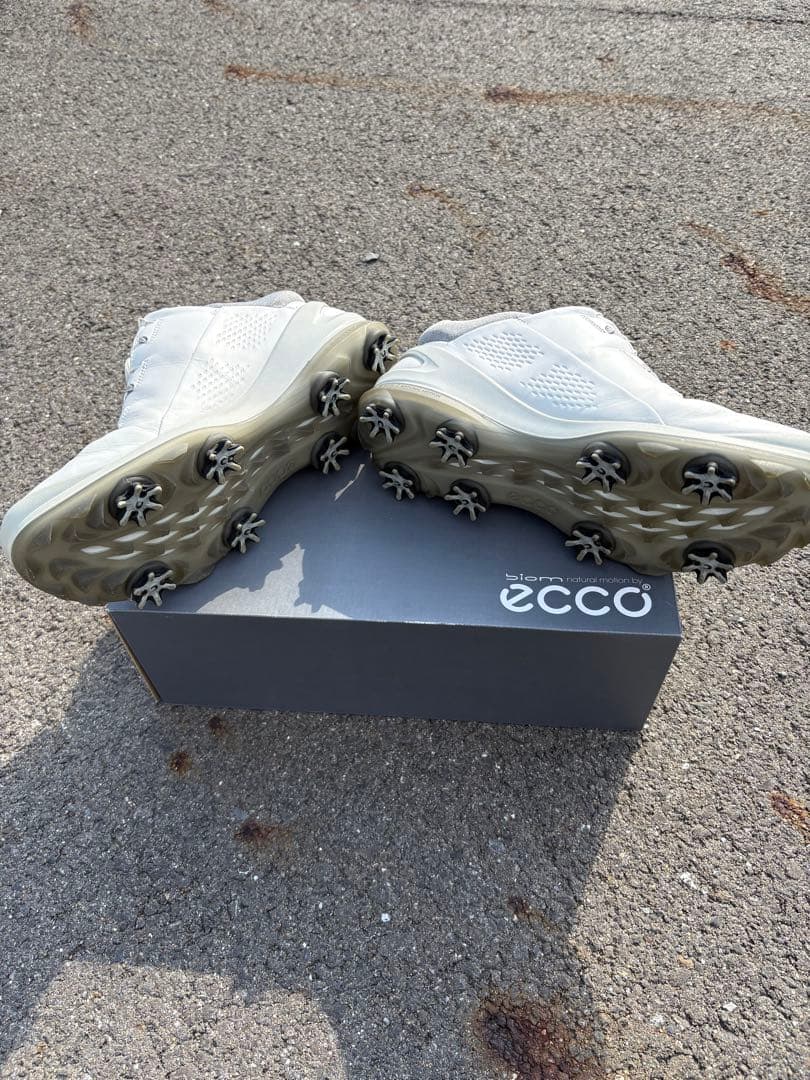 シューズ(男性用) ECCO M GOLF BIOM G 3 goretex