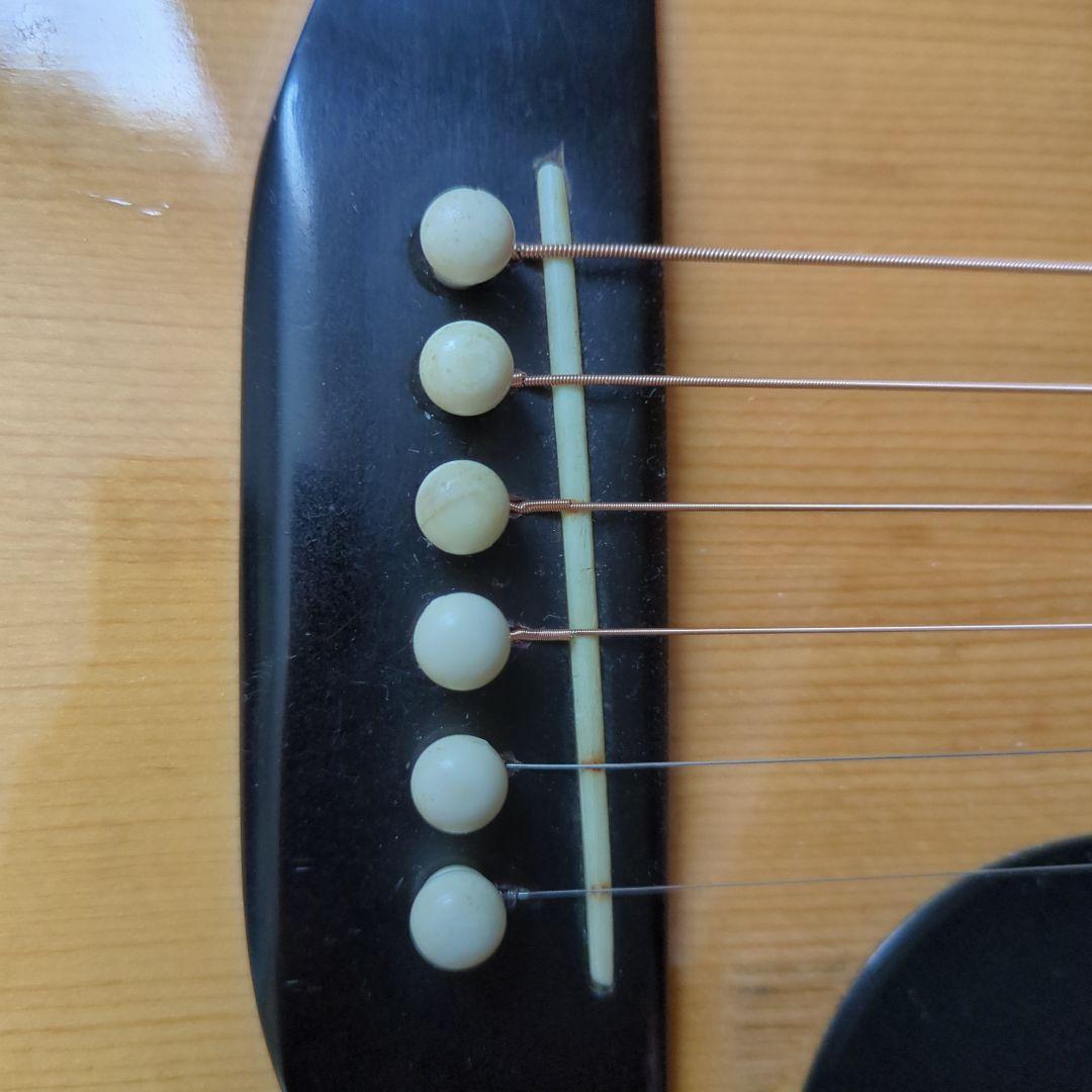 ギター TF MORRIS W50