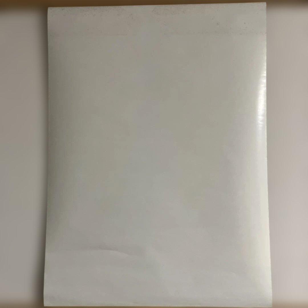 OVA「真・女神転生〜東京黙示録〜」DVD特典ポスター（B2サイズ）。美品です。