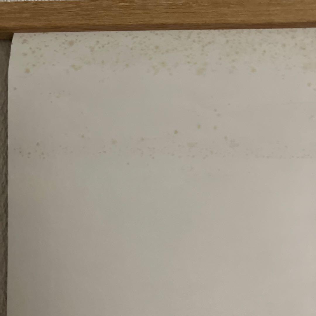 OVA「真・女神転生〜東京黙示録〜」DVD特典ポスター（B2サイズ）。美品です。