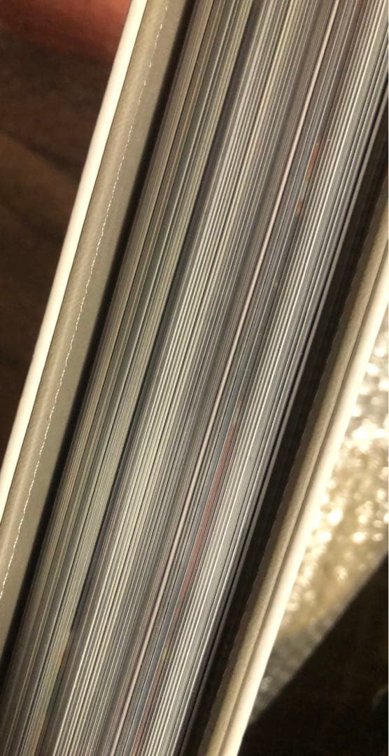 王一博 バインダー＋A4・Pカード他 カード満載アルバム