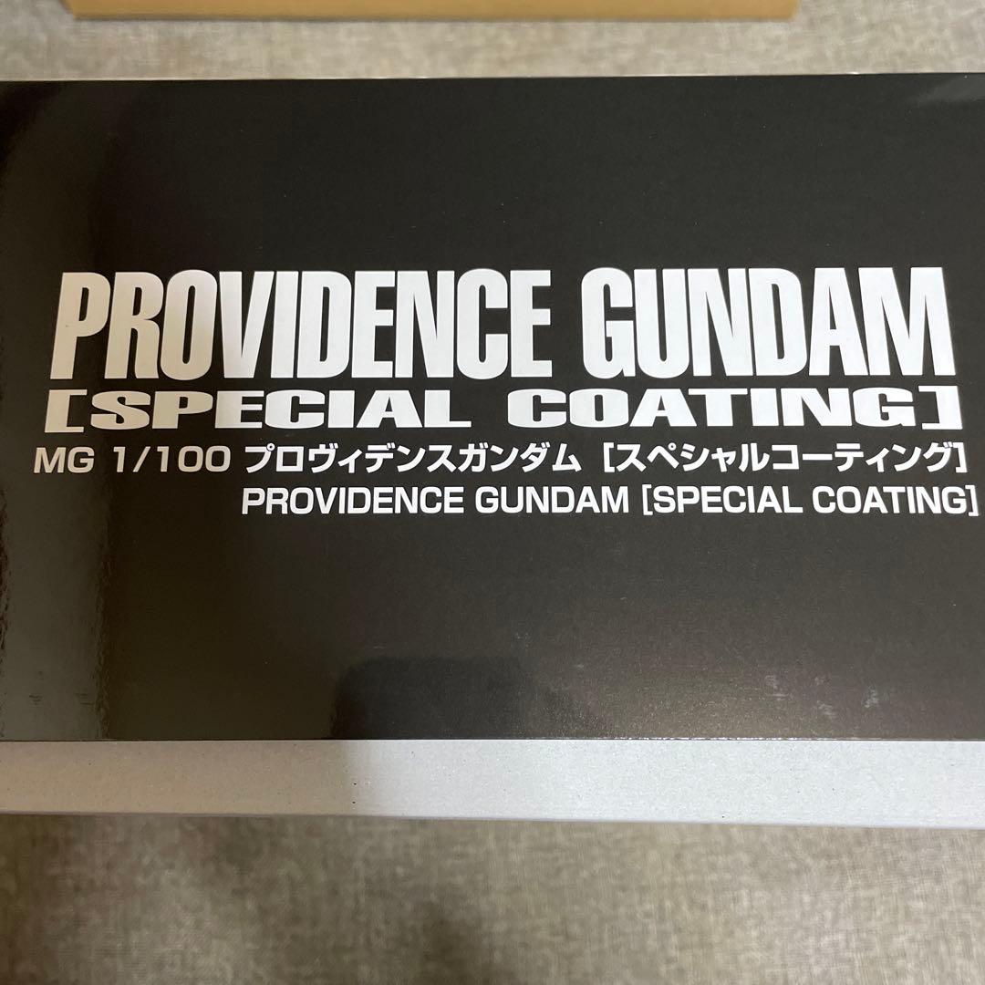 送料込み MG 1/100 プロヴィデンスガンダム スペシャルコーティング