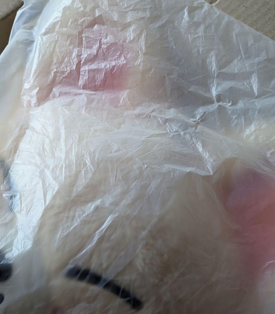 SKZOO PLUSH テディベア FoxI.Ny StrayKids