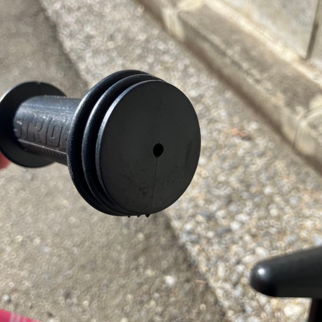 ストライダー クラシック 12インチ 日本正規品