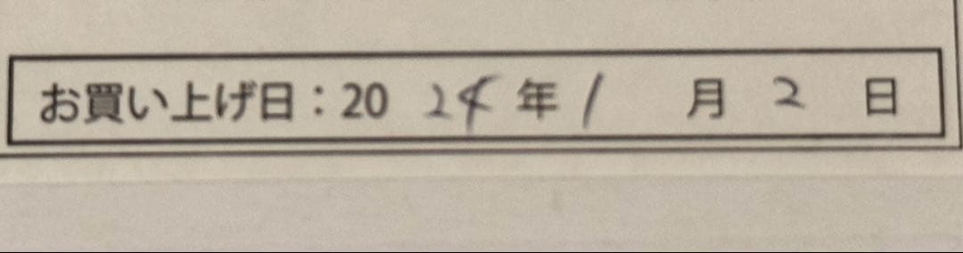 Nintendo Switch Lite あつまれどうぶつの森 セット