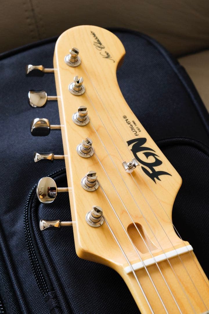 ギター FGN FUJIGEN NTE10MAH SBB Neo Classic