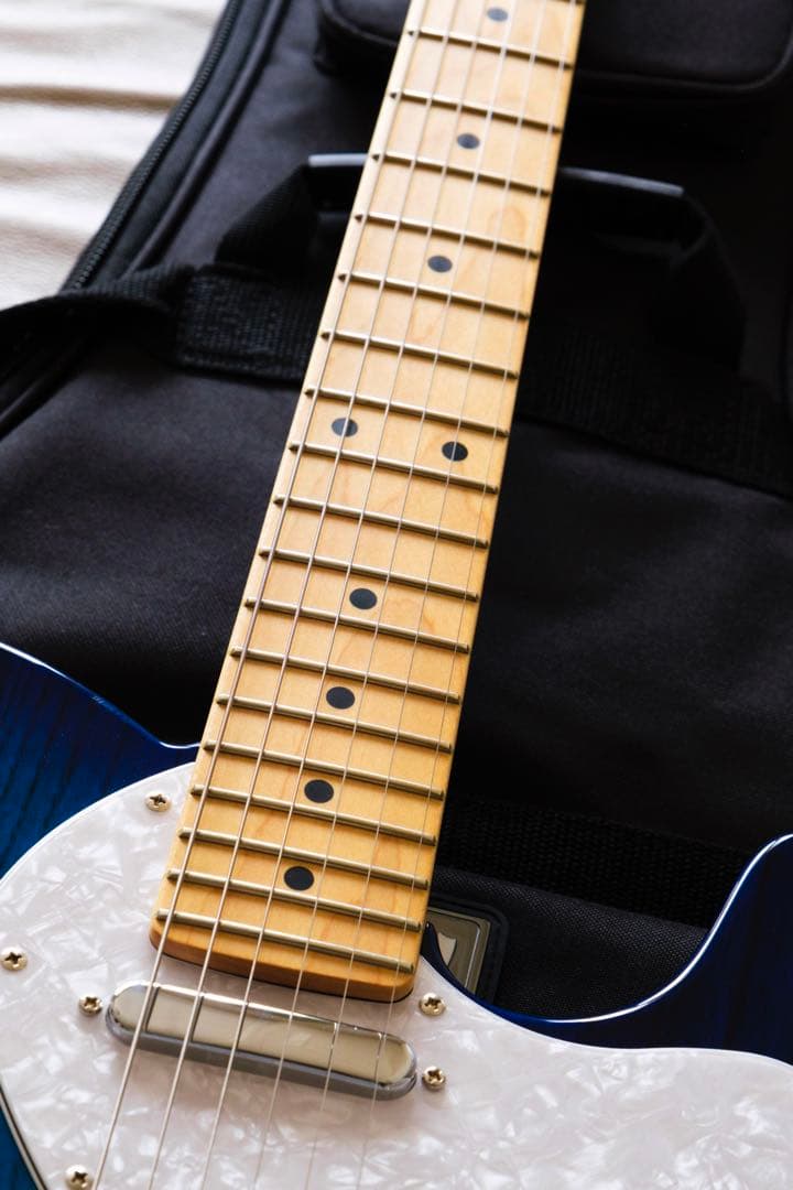 ギター FGN FUJIGEN NTE10MAH SBB Neo Classic