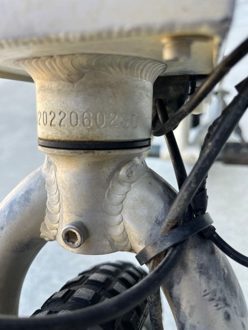 ヨツバモト　ミャウ16