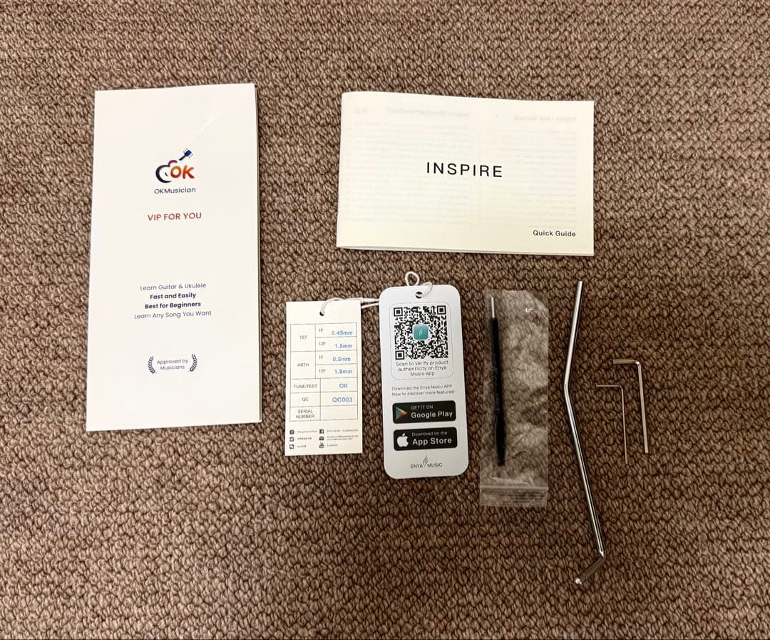 ENYA Inspire  ホワイト　アンプ内蔵エレキギター