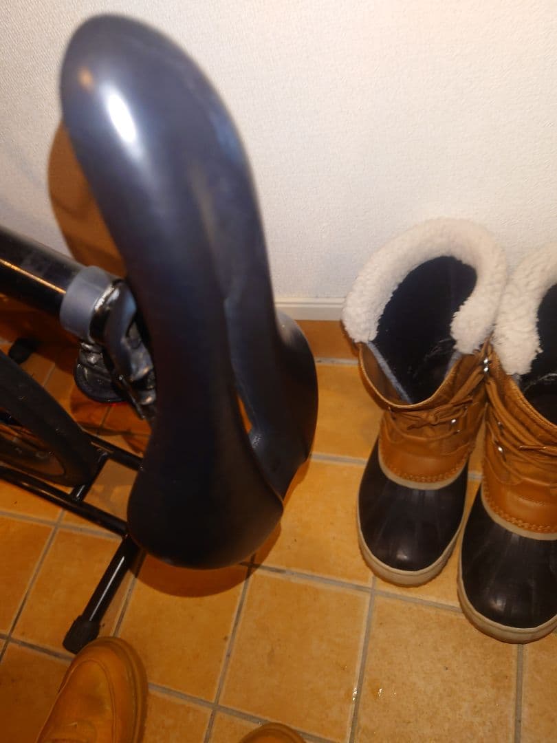 TREK DOMANE 2 2022年12月購入 サイズ54