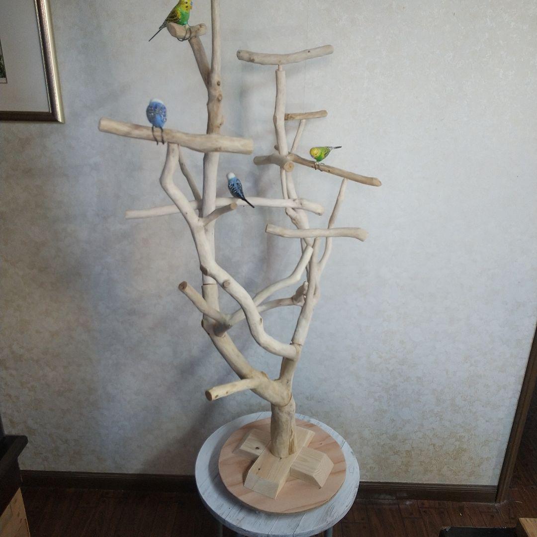 インコバードアスレチックジム楽園シリーズ④キャスター付