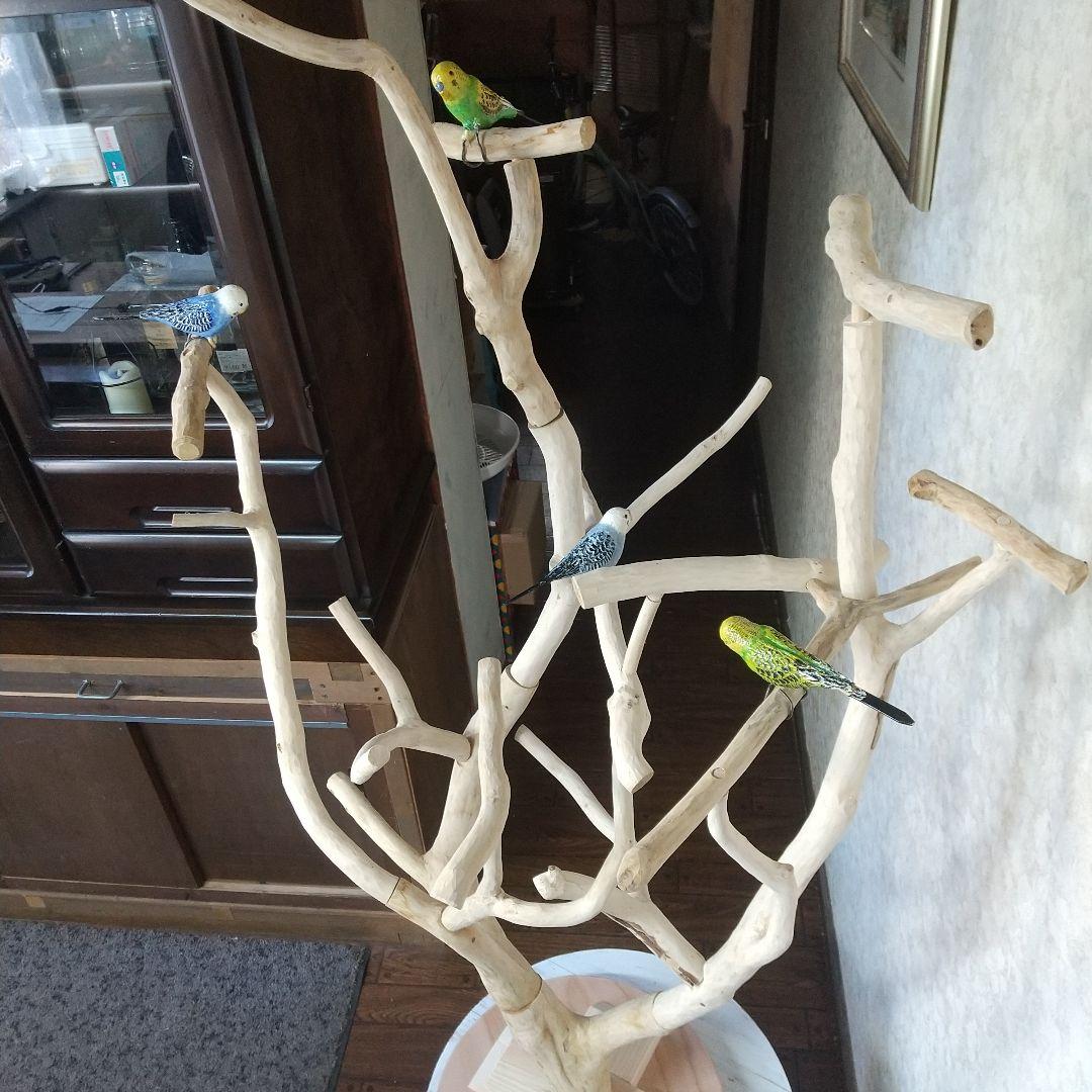 インコバードアスレチックジム楽園シリーズ④キャスター付