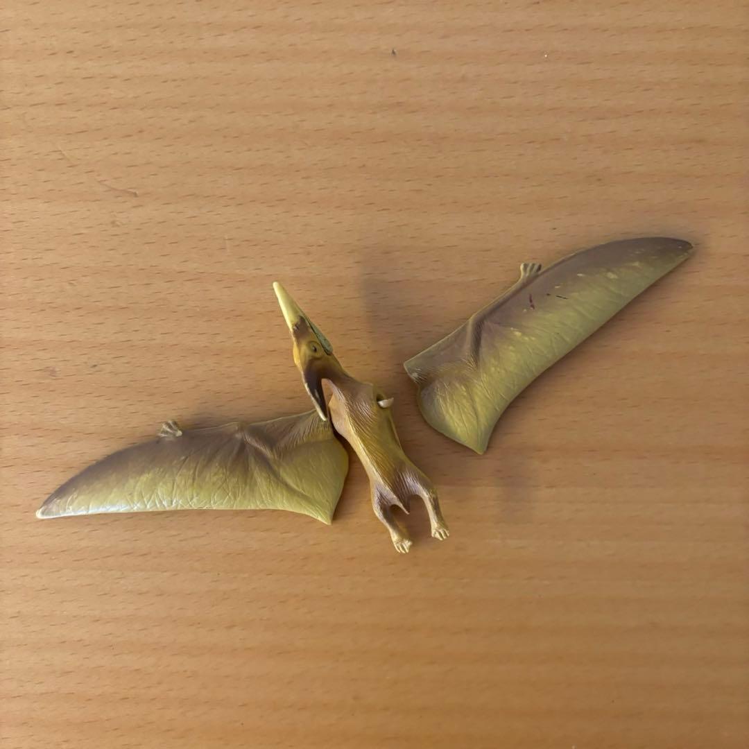 【参考写真、追加商品説明】アニア　まとめ売り