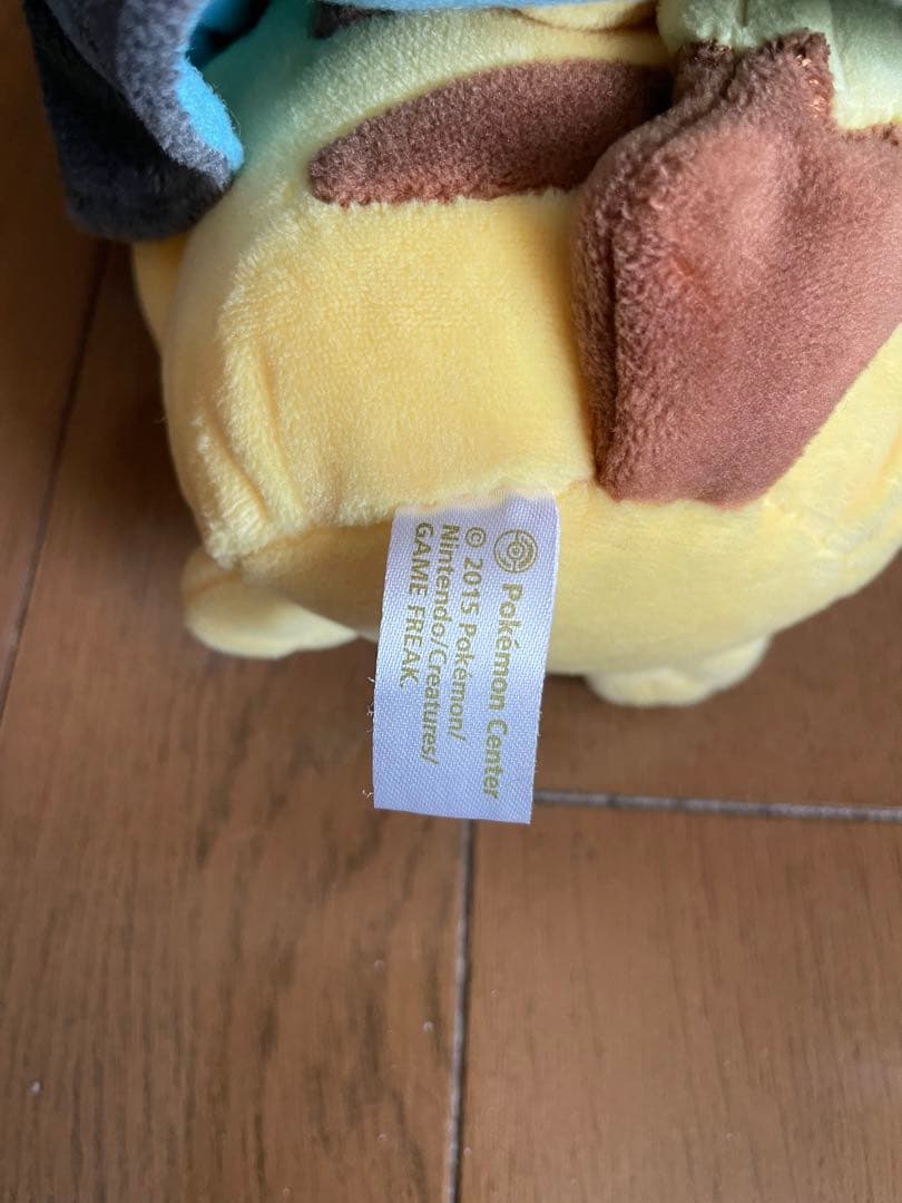 ポンチョを着たピカチュウ　メガリザードンX ポケモンセンター