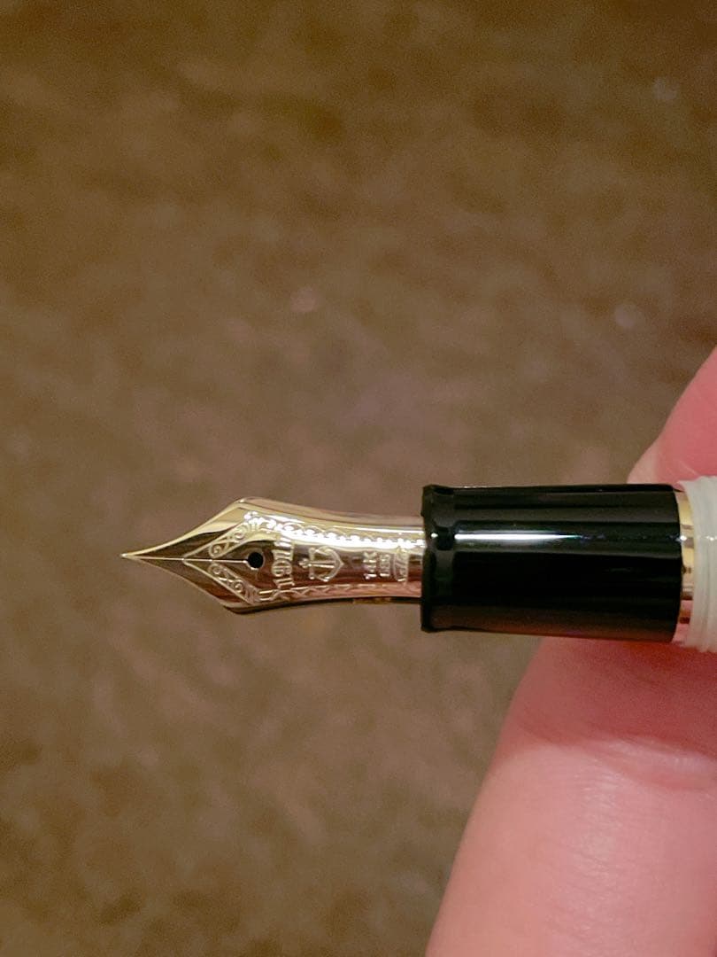 【限定】セーラー万年筆　EF　輝夜