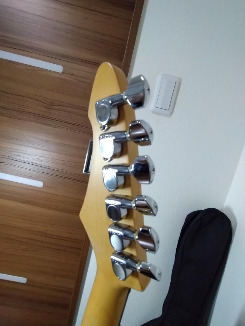 Aria Pro II MAGNA DUNCAN DESIGNED エレキギター