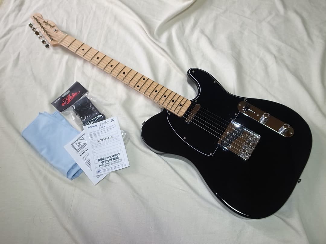 超美品　ESP GrassRoots G-TE/M テレキャスター