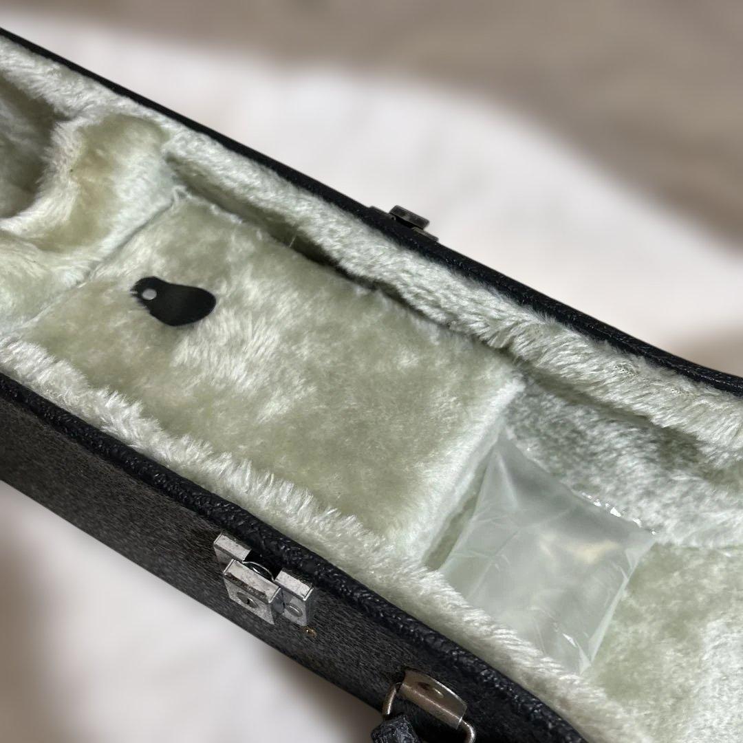 Aria アリア SB-600 5弦 デラックスバンジョー　BANJO 超希少