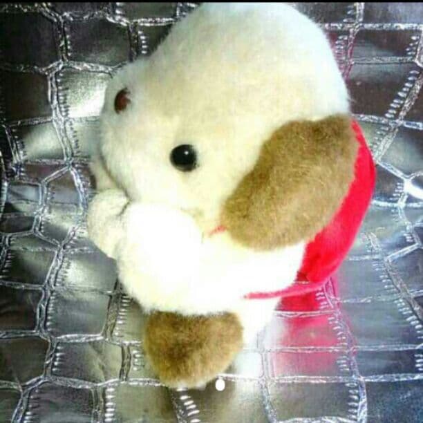 ハニートイス 犬 ぬいぐるみ いぬ クマジロー 友達 フレンド イヌ 昭和レトロ